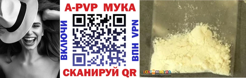 где купить наркоту  Короча  Alpha PVP СК 