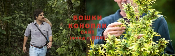 ECSTASY Балахна
